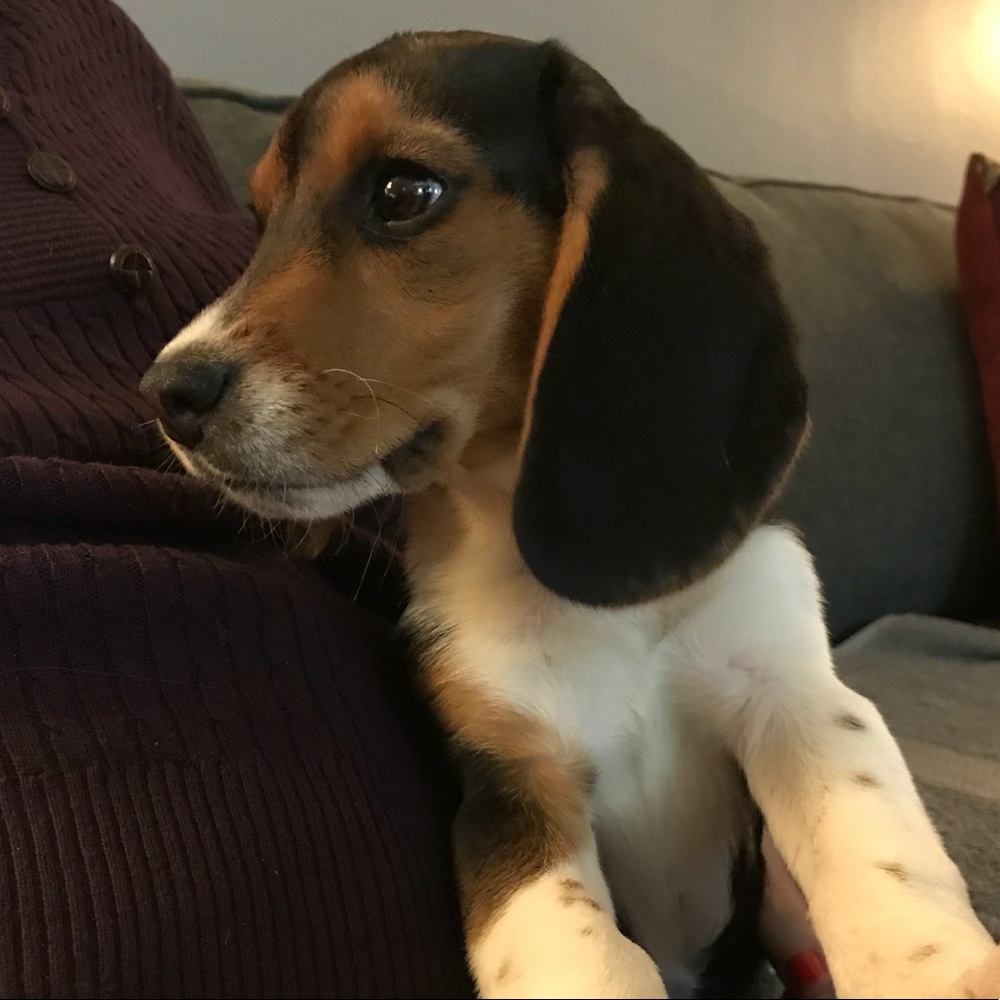 Meet your Posher, Lorraine